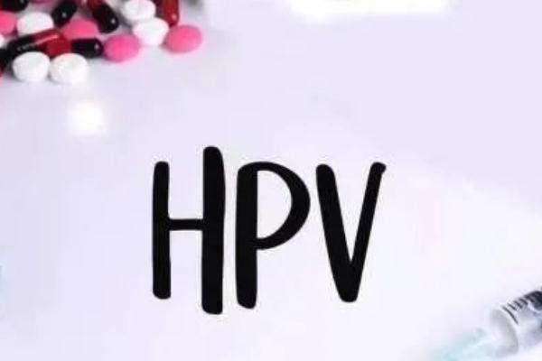 hpv疫苗的價(jià)位是多少 hpv疫苗打了多久不能懷孕